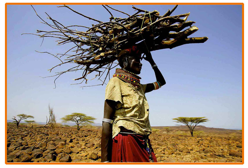 Klimaschutzprojekt in Kenia
